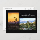 スコッツデールランドスケープのデュエット ポストカード (正面/裏面)