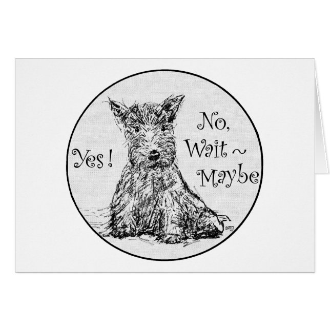 スコッティスケッチ – 未決定 (正面横)