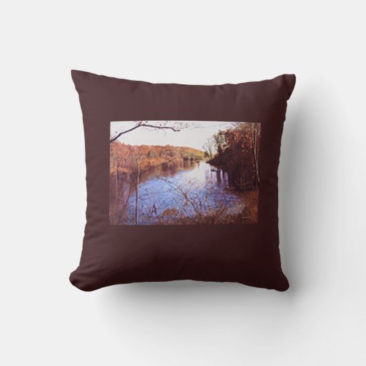 「スコッティズリトリート」 クッション (正面)