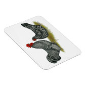 スコットでっくら鶏 マグネット (右側)