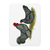 スコットでっくら鶏 マグネット (縦)