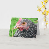 スコットのクロライチョウの雌-家禽の挨拶状 カード (黄色い花)