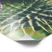 スコットティスル フォトプリント            (角)