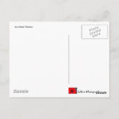 スコットティスル ポストカード (裏面)