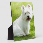 スコットテリア フォトプラーク (側面)