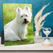 スコットテリア フォトプラーク (側面)