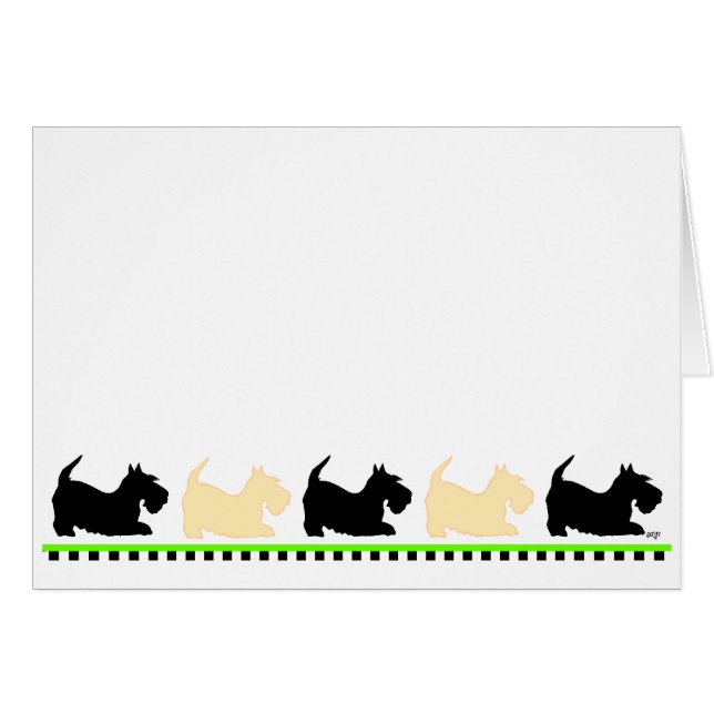 スコットランドが一列に (正面横)