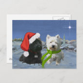 スコットランドとウェスティークリスマススター シーズンポストカード (正面/裏面)