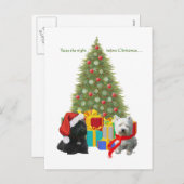 スコットランドとウェスティークリスマスツリー シーズンポストカード (正面/裏面)
