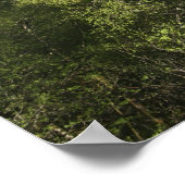 スコットランドのアイレアン・ドナン城。有名なアイレア人 ポスター (角)