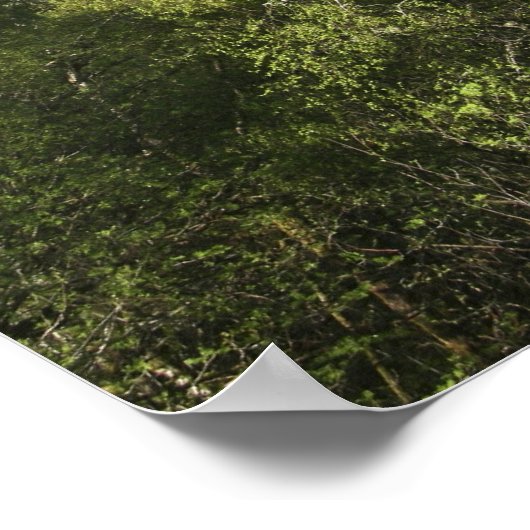 スコットランドのアイレアン・ドナン城。有名なアイレア人 ポスター (角)