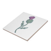 スコットランドのアザミのスケッチ タイル (側面)