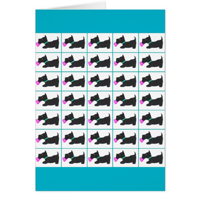 スコットランドのキルト (正面)