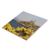 スコットランドのキーリーキン。2の古代遺跡 タイル (側面)