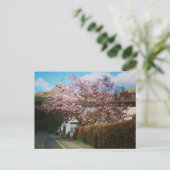 スコットランドのグレンコーの小さな村 ポストカード (スタンド正面)