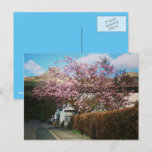 スコットランドのグレンコーの小さな村 ポストカード (正面/裏面)