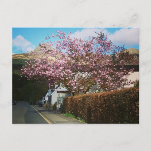 スコットランドのグレンコーの小さな村 ポストカード (正面)