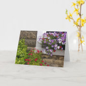 スコットランドのコテージの窓、ペチュニアとバラ カード (黄色い花)