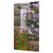 スコットランドのコテージの窓、ペチュニアとバラ クリップボード (左)