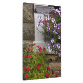 スコットランドのコテージの窓、ペチュニアとバラ クリップボード (右)