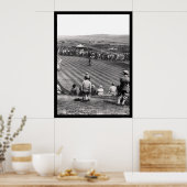 スコットランドのゴルフ1926 ポスター (キッチン)