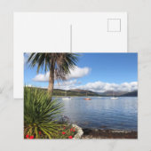 スコットランドのサンシャイン。パームツリー&ヨット付きベイ ポストカード (正面/裏面)