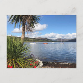 スコットランドのサンシャイン。パームツリー&ヨット付きベイ ポストカード