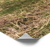 スコットランドのジュラ島にあるコテージ ポスター (角)