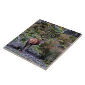 スコットランドのタイルの野生の赤い雄鹿 タイル (側面)