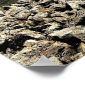 スコットランドのトップ ポスター (角)