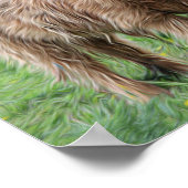 スコットランドのハイランドの牛の写真ポスター ポスター (角)