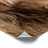 スコットランドのハイランドの牛の写真ポスター ポスター (角)