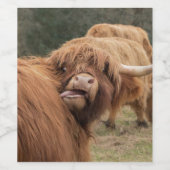 スコットランドのハイランドカウの写真 ワインラベル (シングルラベル)