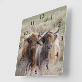 スコットランドのハイランド牛 スクエア壁時計 (傾斜)
