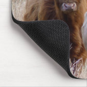 スコットランドのハイランド牛 マウスパッド (コーナー)