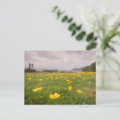 スコットランドのバターカップ ポストカード (スタンド正面)