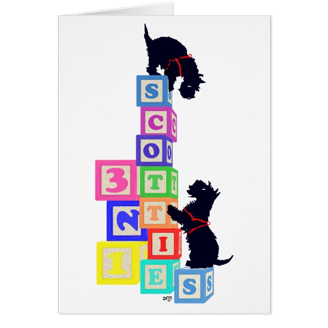 スコットランドのブロック (正面)