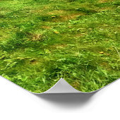 スコットランドのヘイクランの新しいスランズ城の写真 ポスター (角)