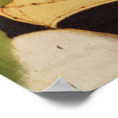 スコットランドのマドレーヌ・ド・フランス女王， 1536 ポスター (角)