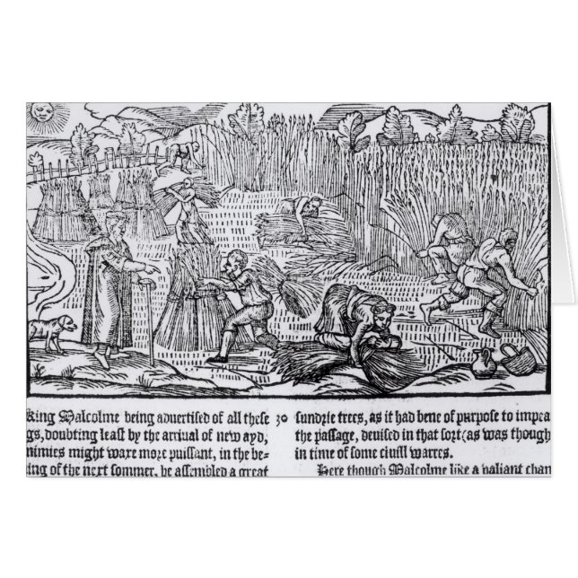 スコットランドのマルコム王 (正面横)