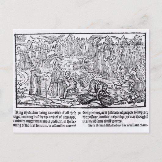 スコットランドのマルコム王 ポストカード (正面)