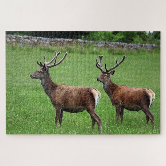 スコットランドのロック・ランノチで二つの牡鹿 ジグソーパズル (横)