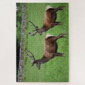 スコットランドのロック・ランノチで二つの牡鹿 ジグソーパズル (縦)