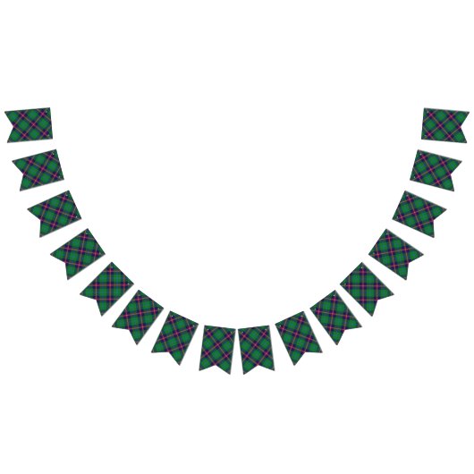 スコットランドの一族の若者のタータンチェック バンティングフラッグ (全)