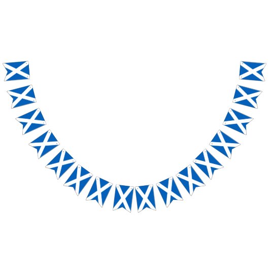 スコットランドの塩漬け～国旗 バンティングフラッグ (全)