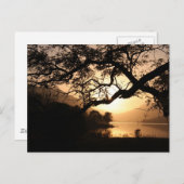 スコットランドの夕日が見える ポストカード (正面/裏面)