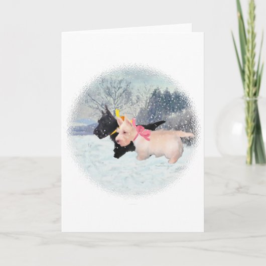 スコットランドの子犬 シーズンカード (正面)