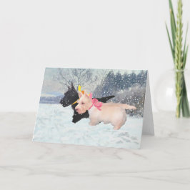 スコットランドの子犬 シーズンカード