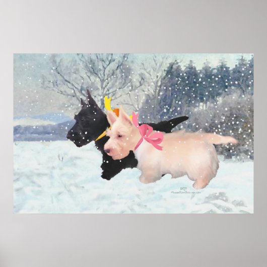 スコットランドの子犬 ポスター (正面)