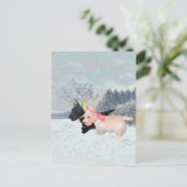 スコットランドの子犬 ポストカード (スタンド正面)